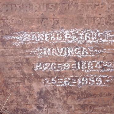 HAVINGA Barend Petrus 1884-1959