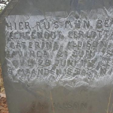 North West, KOSTER district, Waterval 462, farm cemetery_2