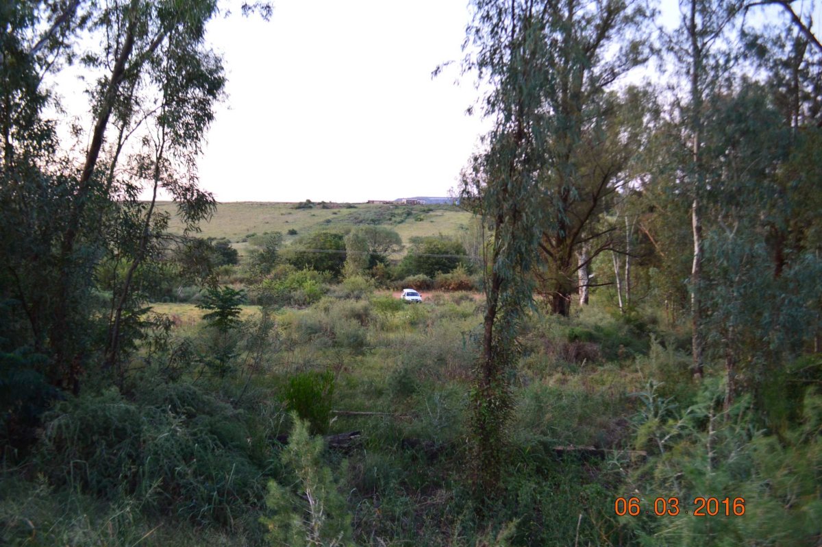 1. Oorsig / Overview