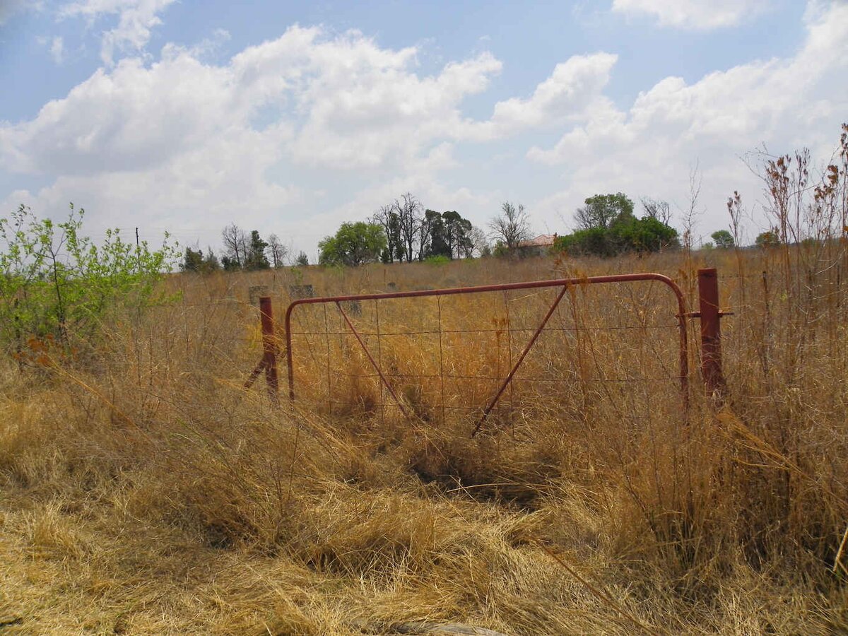 1. Overview / Oorsig