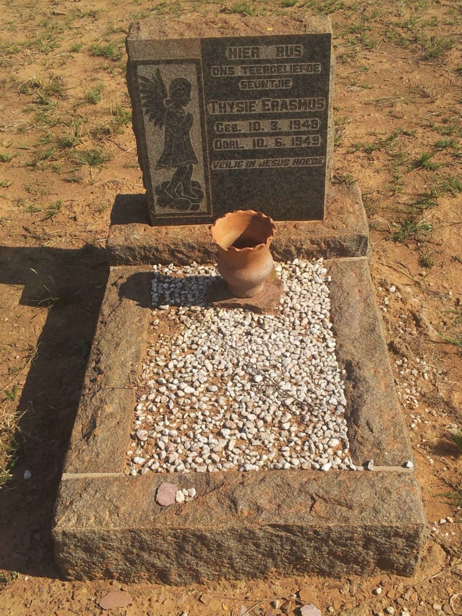 ERASMUS Thysie 1949-1949