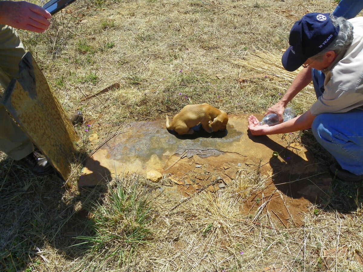 3. Grave hunting is hard work!