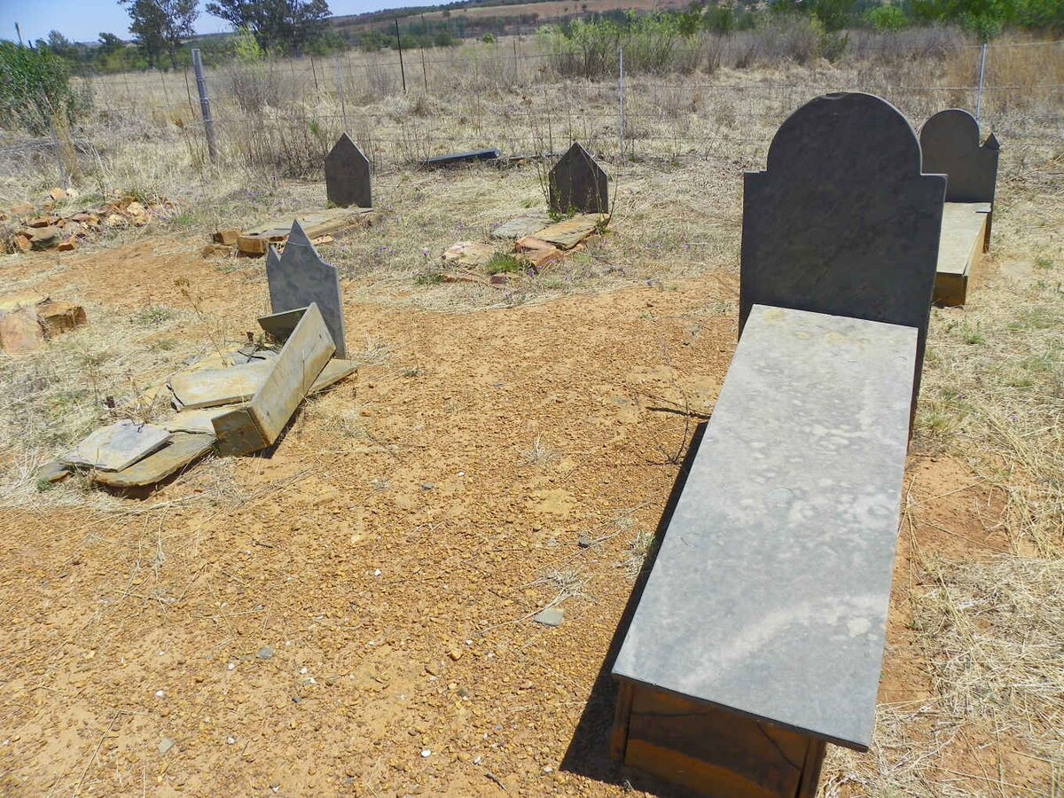 4. Overview / Oorsig