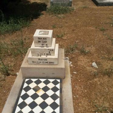 BOTHA Hannes 1950-1956