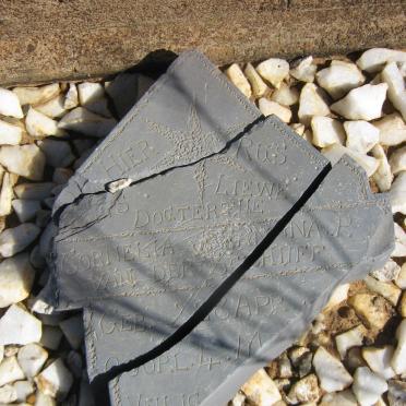 SCHIJFF Cornelia Johanna P., van der