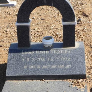 TEIXEIRA Louis David 1972-1972