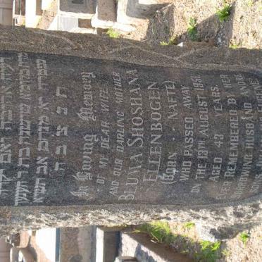 BOGEN Bluma Shoshana Ellen nee NAFTE -1951