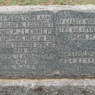 LEMMER P.J. 18??-1900