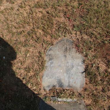 MOOLMAN Paul Johannes 1901-1903