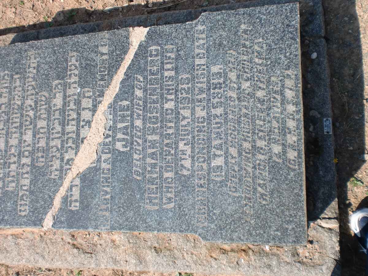 ROSENBERG Jane -1928