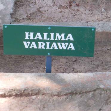 VARIAWA Halima