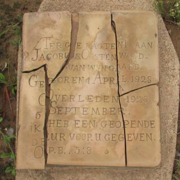 WYNGAARD Jacobus Onstenwald, van 1928-1928