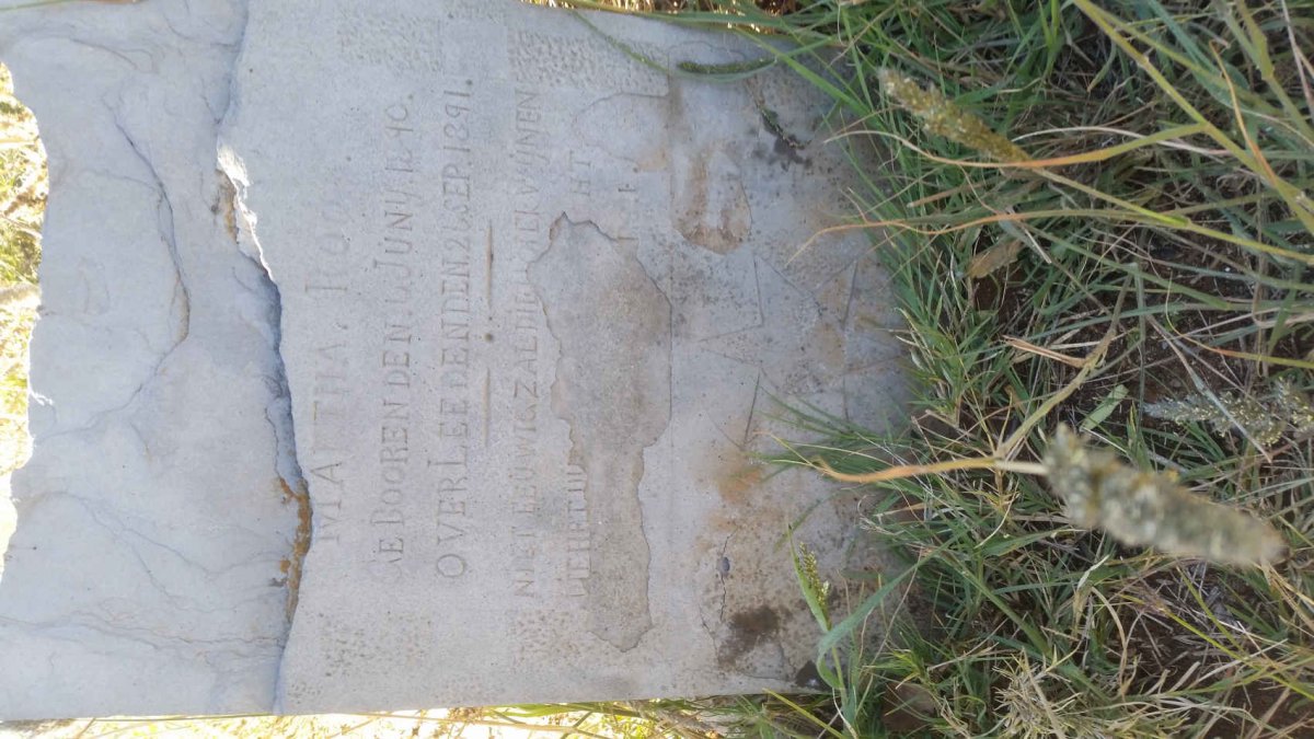 ROOS Martha 1890-1891