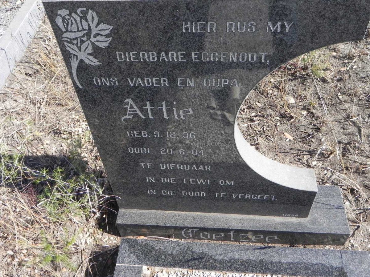 COETZEE Attie 1936-1984