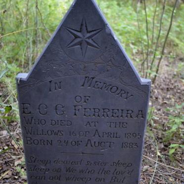 North West, LICHTENBURG district, Vlakplaats 112_1, farm cemetery