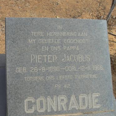 CONRADIE Pieter Jacobus 1896-1956