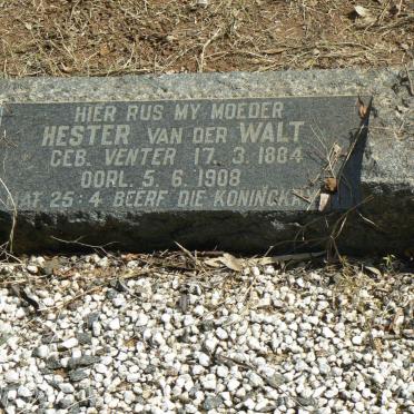 WALT Hester, van der nee VENTER 1884-1908