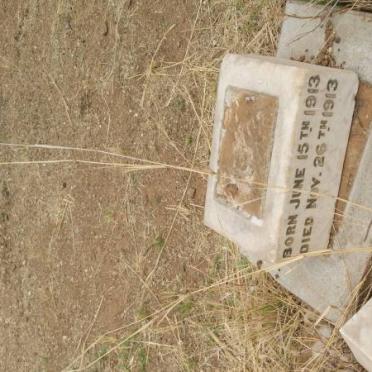 ALLSOPP Muriel Isobel 1913-1913