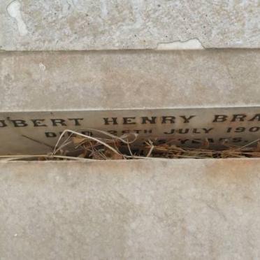 BRADLEY Hubert Henry -1900