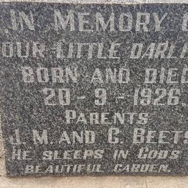 BEETS 1926-1926