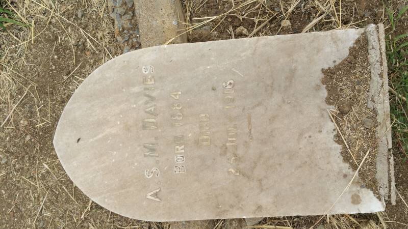 DAVIES A.S.M. 1884-1916