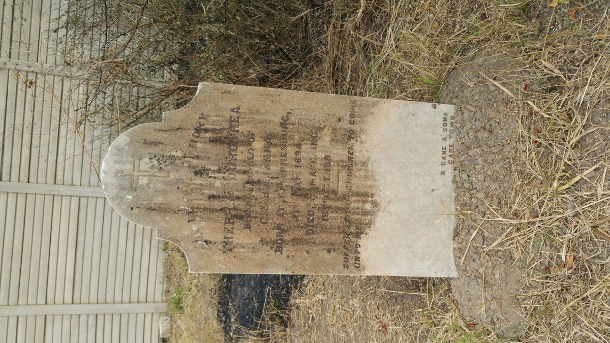 GIANNA Theresa Dorothea 1894-1895