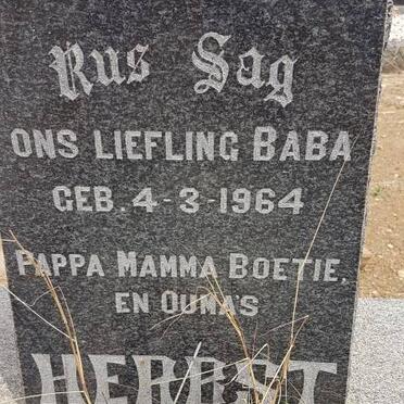 HERBST Baba 1964-1964