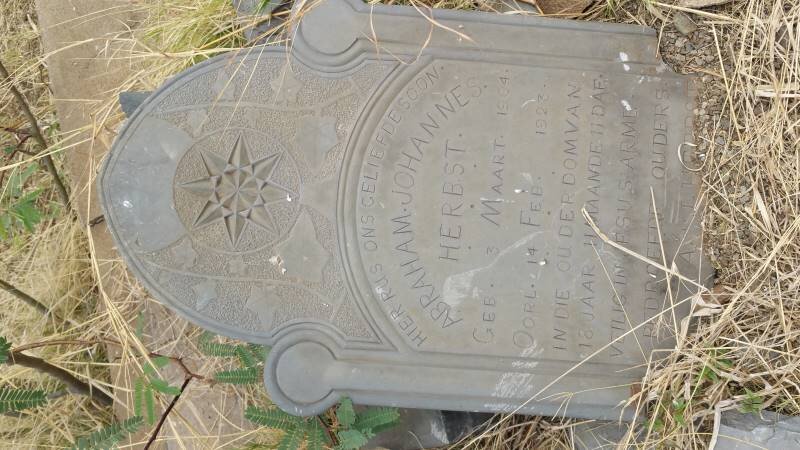 HERBST Abraham Johannes 1904-1923