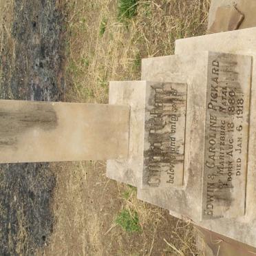 PICKARD Clifford Richard 1880-1918