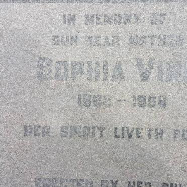 VINK Sophia 188?-1968