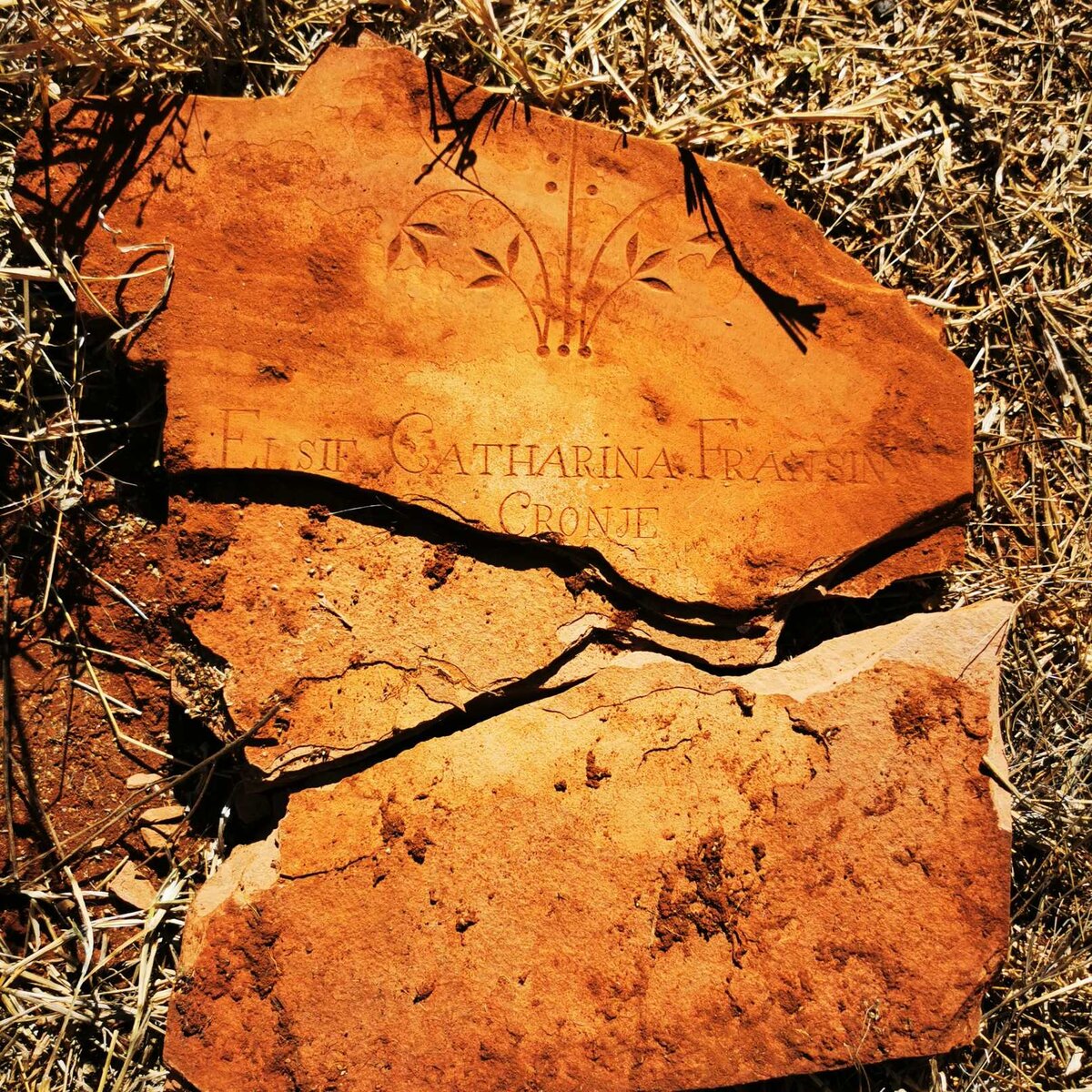 CRONJE Elsie Catharina Fransina