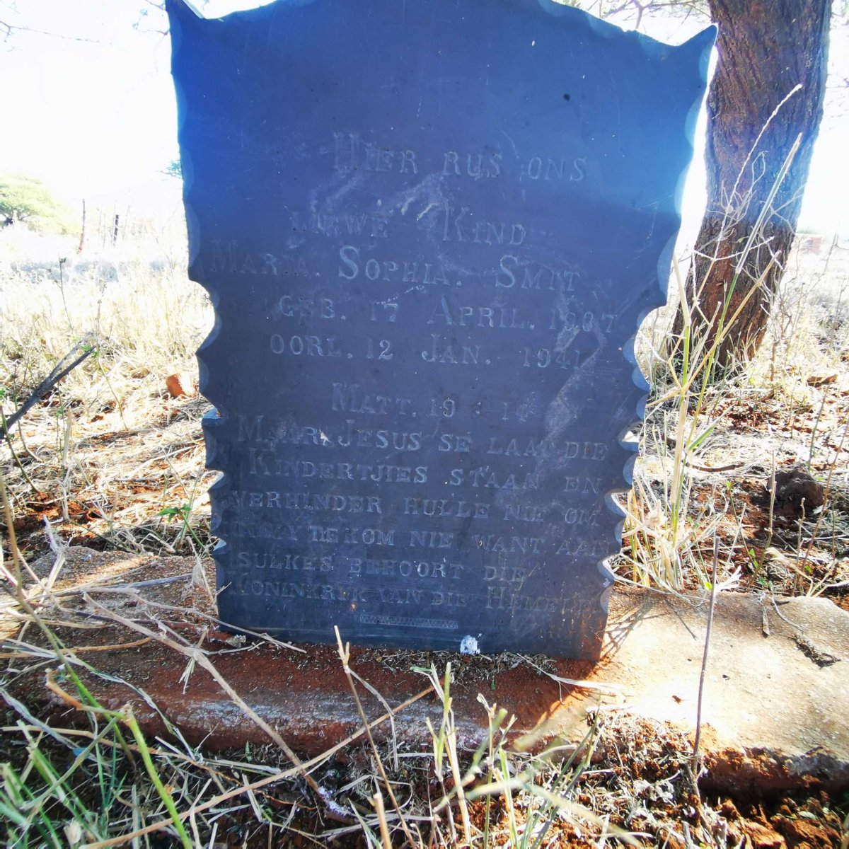 SMIT Maria Sophia 1937-1941