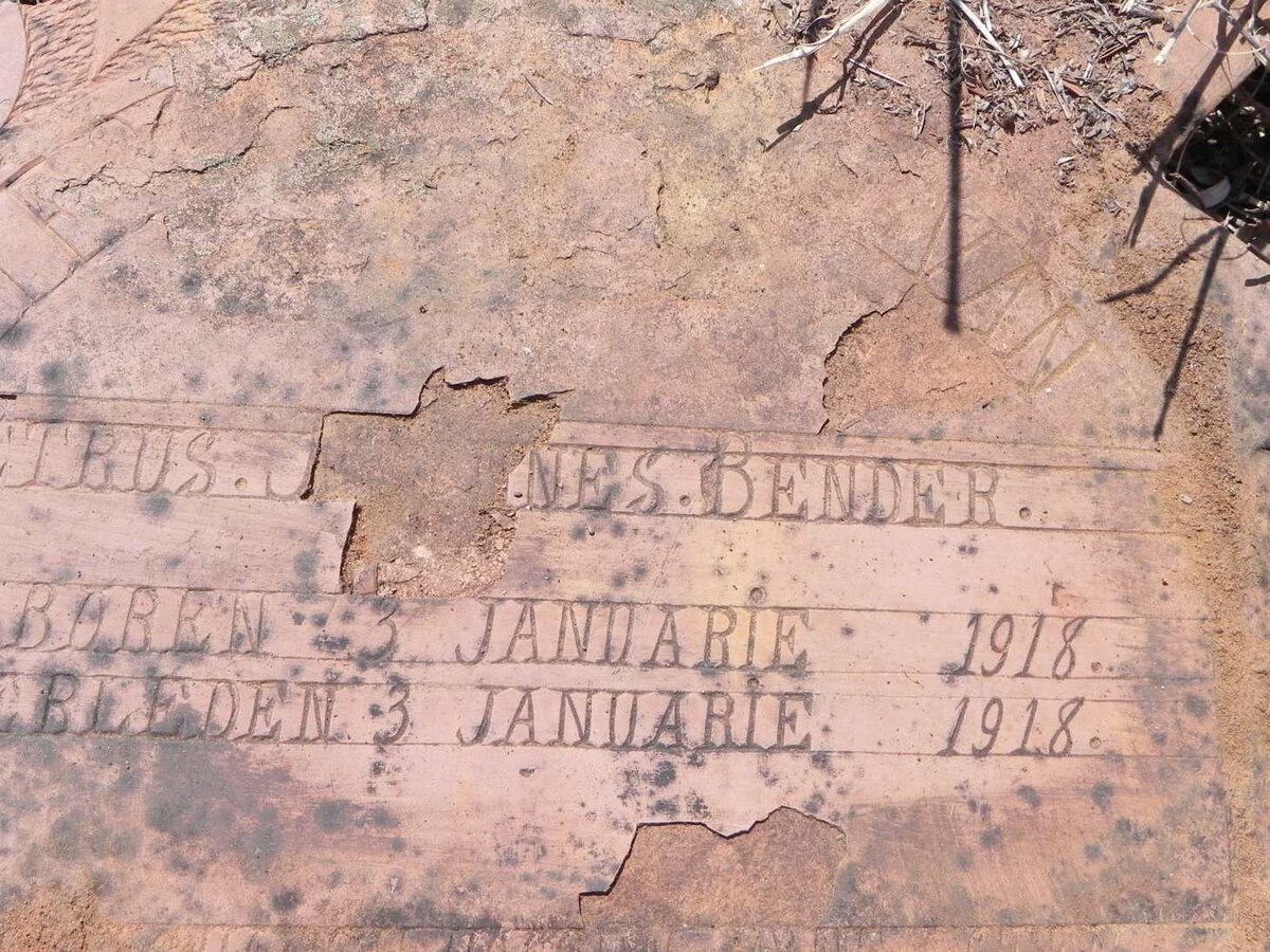 BENDER Petrus Johannes 1918-1918