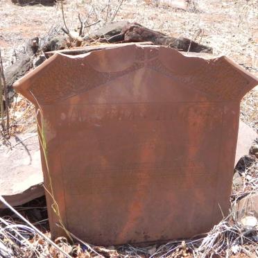 ROOS Martha 1916-1917