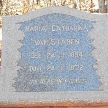 North West, MARICO district, Groot Marico, Vergenoegd 289_2, farm cemetery