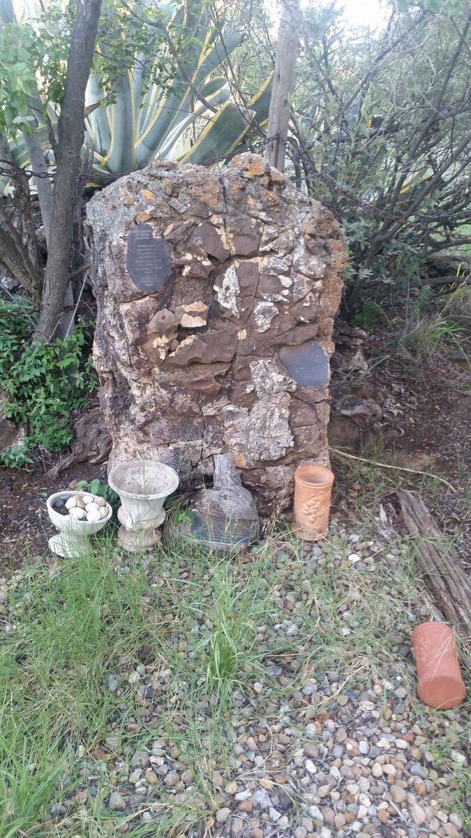 3. Oorsig / Overview