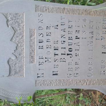 BLIGNAUT Hester A. nee JOUBERT 1874-1951