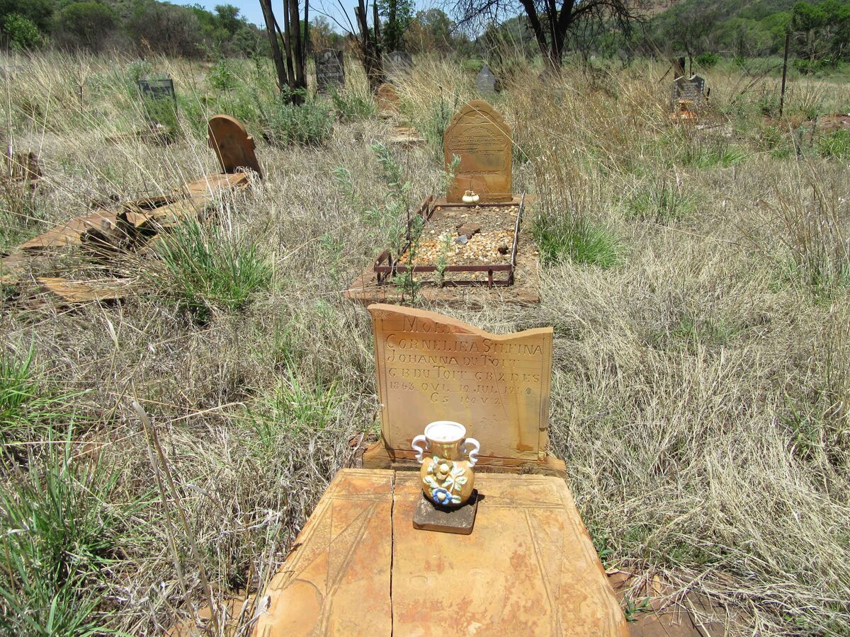 TOIT Cornelia Stefina Johanna, du nee DU TOIT 1863-1940