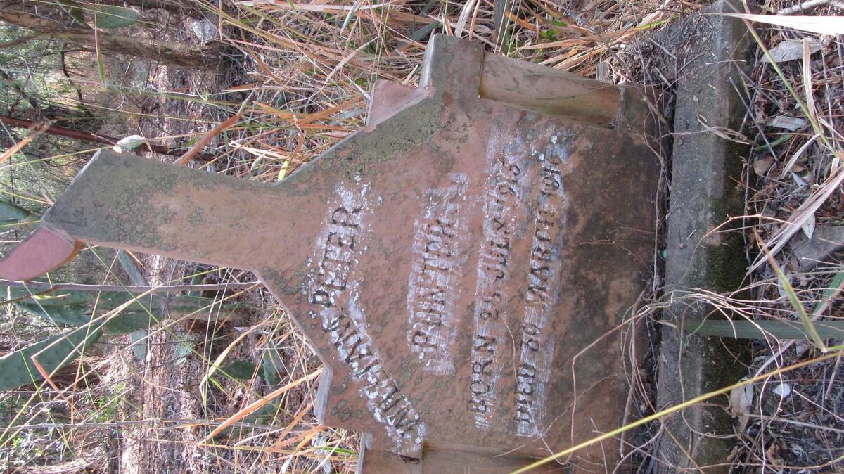 PUNTER William Peter 1915-1916