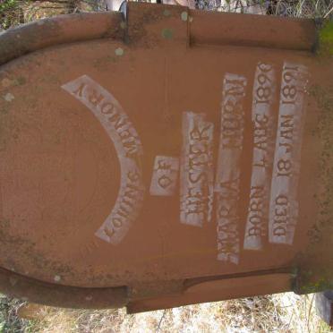 HURN Hester Maria 1890-1891