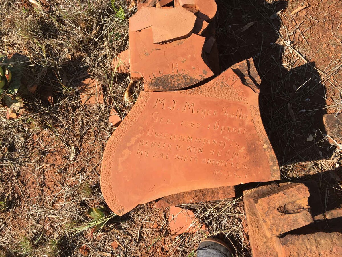 MEYER M.J. nee NEL 1848-1924