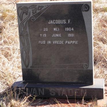 North West, MARICO district, Groot Marico, Vergenoegd 289_4, farm cemetery