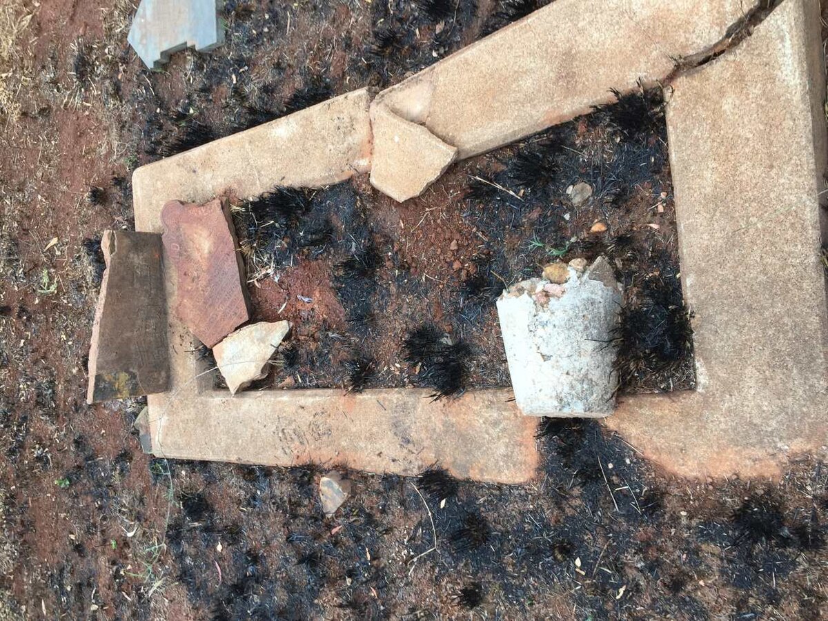 ? James Johanand? 1916-1923