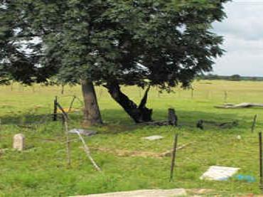 North West, MORETELEI district, Rural (farm cemeteries)