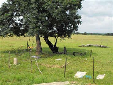 1. Overview / Oorsig