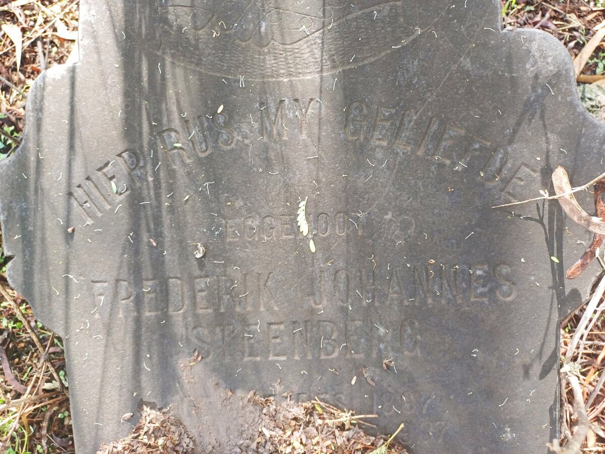 STEENBERG Frederik Johannes 1887-1937