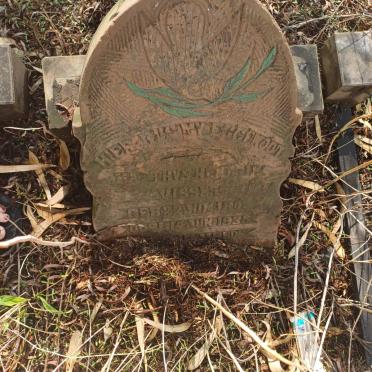 VISSER Mathys Hendrik 1900-1935