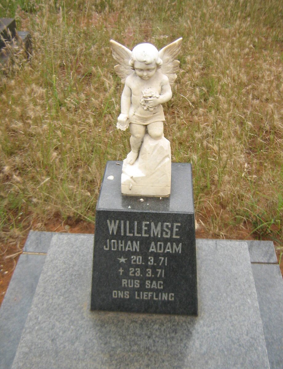 WILLEMSE Johan Adam 1971-1971