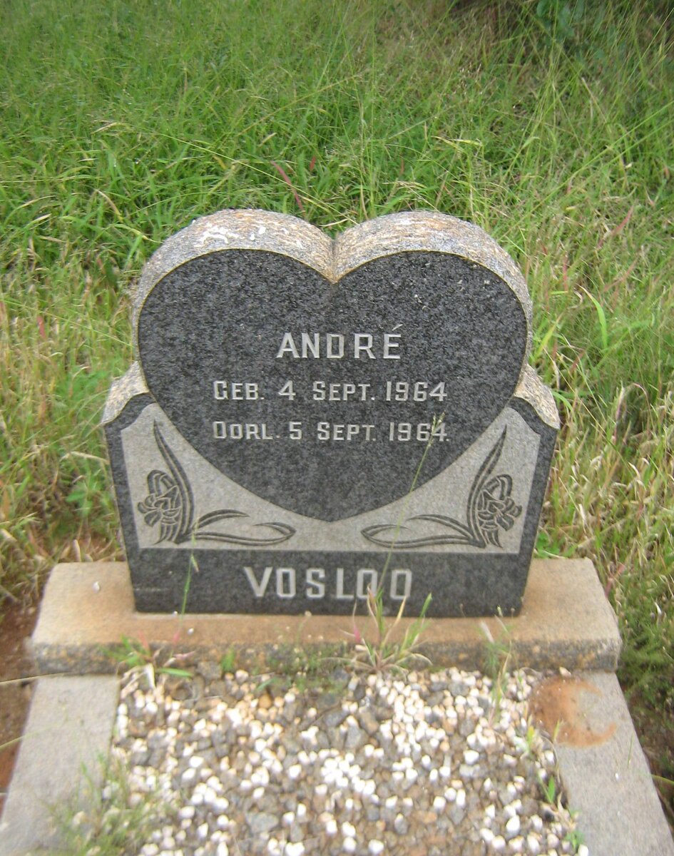 VOSLOO André 1964-1964