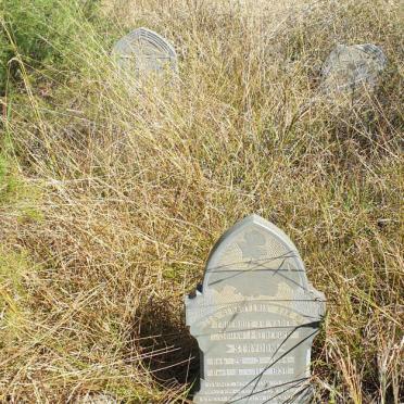 2. Oorsig / Overview